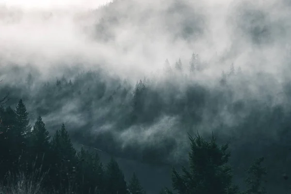 Uğursuz Pasifik Kuzeybatı. Doğa, seyahat