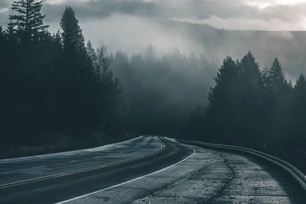 Ominous Pacific Northwest Nature Travel — Stock Photo, Image