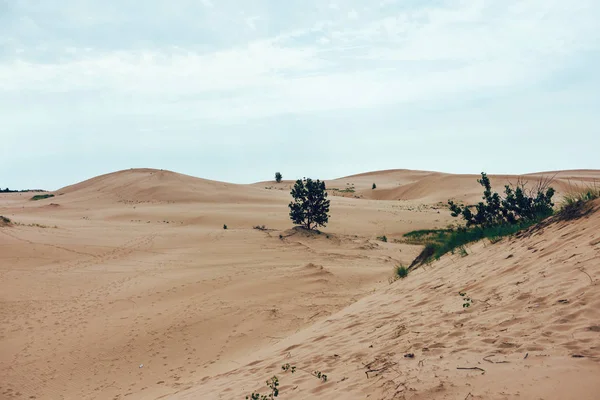 Dunas Arena Silver Lake Michigan — Foto de Stock