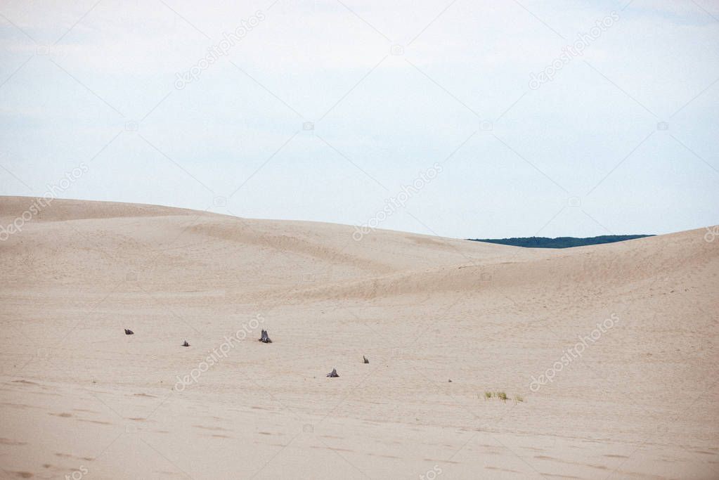 Silver Lake Sand Dunes, Michigan