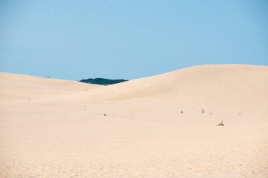 Silver Lake Kum Tepeleri, Michigan