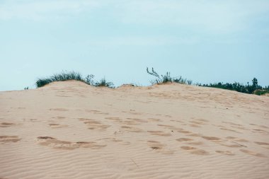 Silver Lake Kum Tepeleri, Michigan