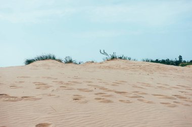 Silver Lake Kum Tepeleri, Michigan