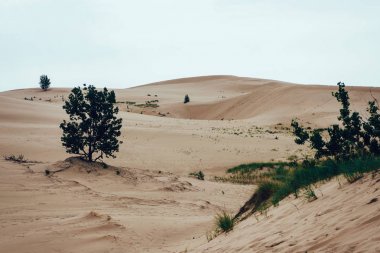 Silver Lake Kum Tepeleri, Michigan