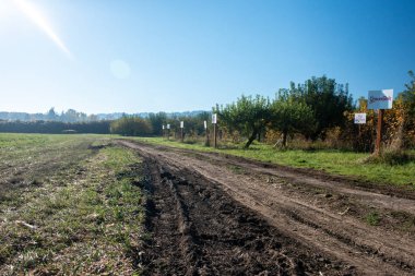 Douglas Farms yakınındaki yol