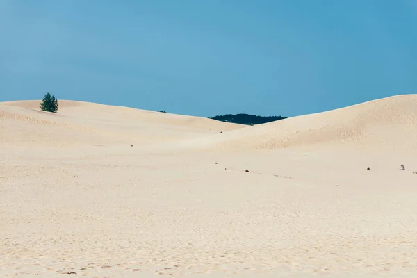 Dunas Arena Silver Lake Michigan — Foto de Stock