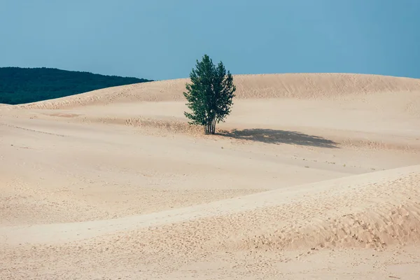 Dunas Arena Silver Lake Michigan — Foto de Stock