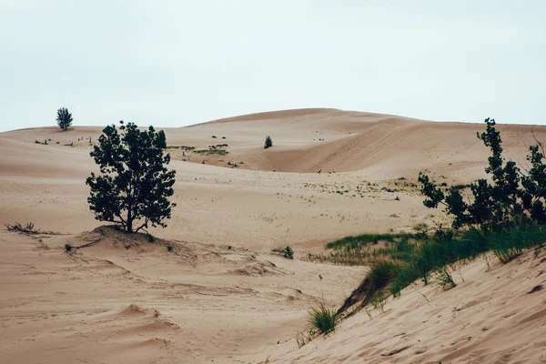 Dunas Arena Silver Lake Michigan — Foto de Stock