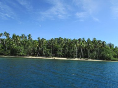 Nusi Island Nabire Papua Endonezya Plaj Görünümü