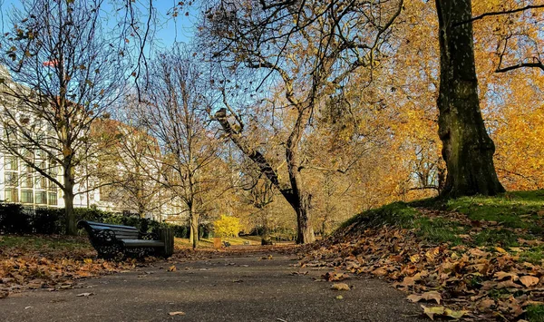 Empty Park Bench London — Stock Photo, Image