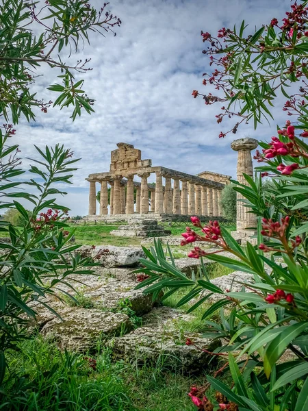 Neuvěřitelný Paestum Italy — Stock fotografie