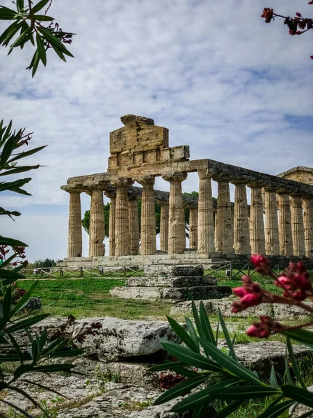 Neuvěřitelný Paestum Italy — Stock fotografie