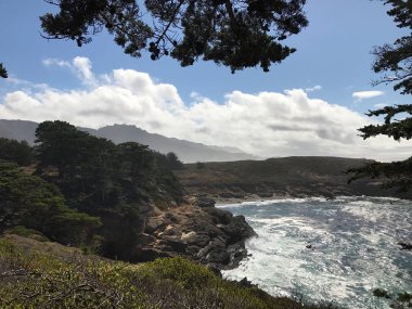 Point Lobos California'nın Görünümü