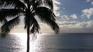 Maui sahilinde okyanusa bakmak