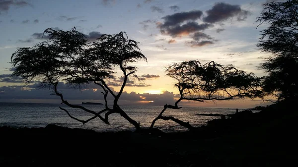 Melihat keluar melalui laut di lepas pantai Maui — Stok Foto