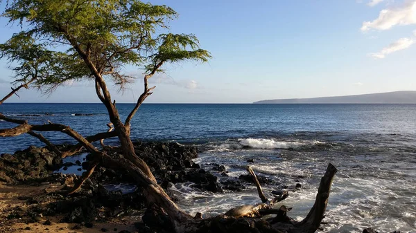 Mirando hacia el océano frente a la costa de Maui — Foto de Stock