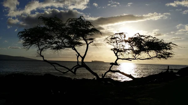 Melihat keluar melalui laut di lepas pantai Maui — Stok Foto