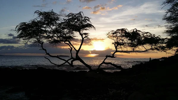 Melihat keluar melalui laut di lepas pantai Maui — Stok Foto