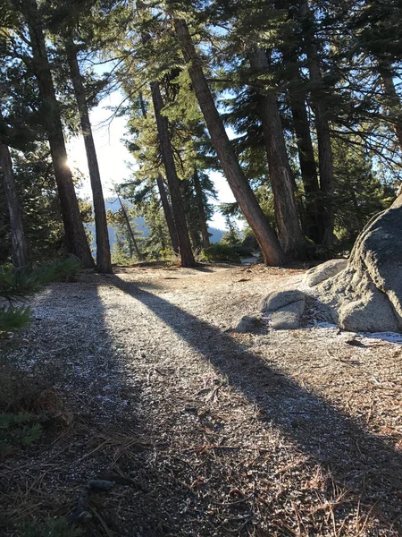 Tahoe'da yürüyüş parkuru