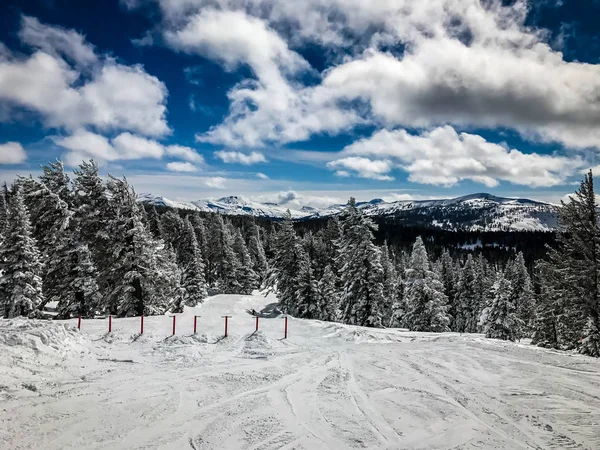 Beautiful day on the slopes — Stock Photo, Image