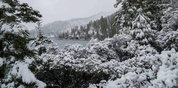 Menghadap Danau Tahoe pada hari bersalju — Stok Foto