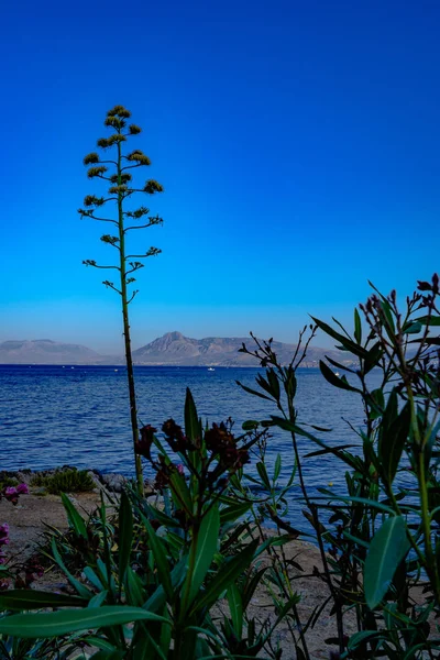 Keindahan Punta Sant 'Elia — Stok Foto