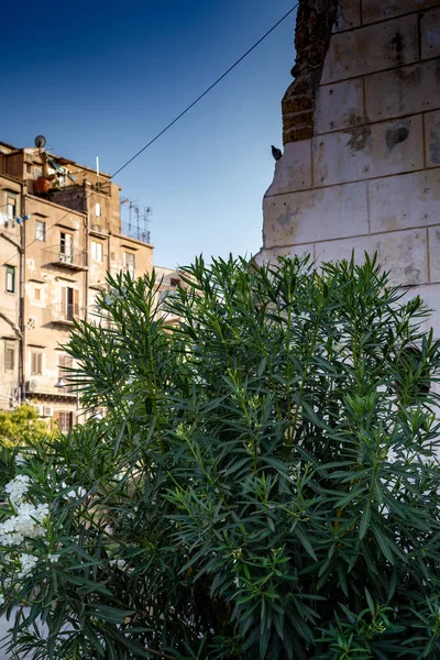 Uitzicht vanaf de straat Palermo Italië — Stockfoto