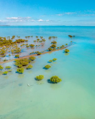 Güzel turkuaz renk, tropikal tress bitki örtüsü ile Tropikal mangrov hava manzara