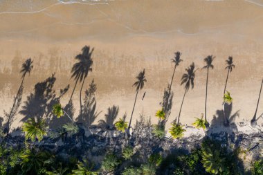 Beyaz kum, güzel palmiye ağaçları ve sıcak turkuaz tropikal su ile plaj Havadan üst görünümü