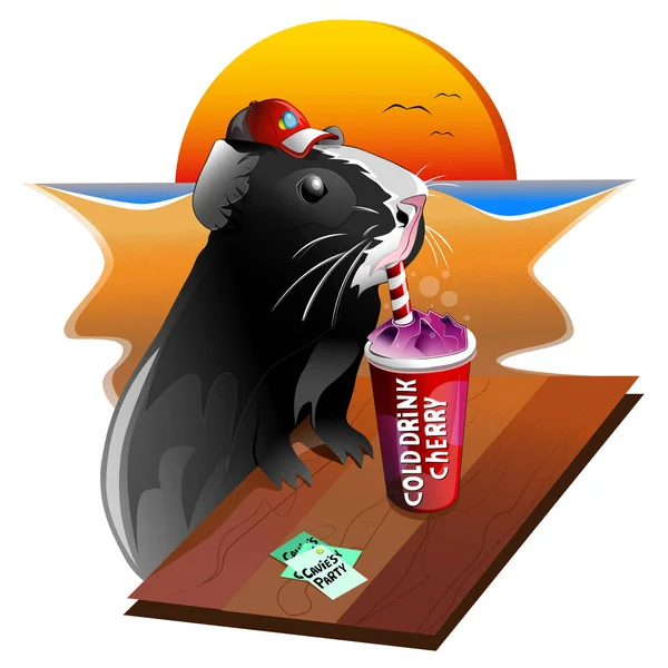 Sahilde komik kobay. T-shirt yazdırmak için kullanılabilir, bir web sitesi veya diğer farklı tasarım bir arka plan olarak.100% vektör illüstrasyon, Eps10