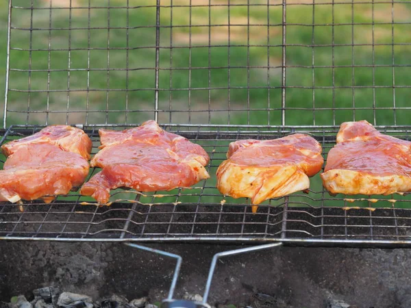 Bifes Excelentes Uma Marinada Apetitosa Especiarias Para Cozinhar Carvão Verão — Fotografia de Stock