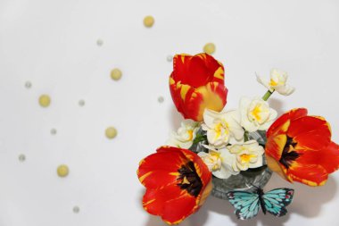 Parlak lale ve nergis bahar buketi. İlkbaharda sera bitkileri ve çiçekler. Beyaz arka plan üst görünümünde parlak tomurcuklar yakın çekim.