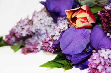 Beyaz bir arka plan üzerinde parlak bahar buketi. Leylak, lale ve irises yakın çekim, metin için bir yer var.