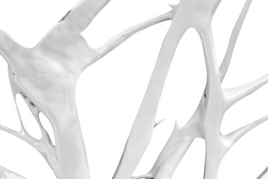 Soyut ahşap çit arka plan. Ahşap Duvar. ( Kırpma yolu )