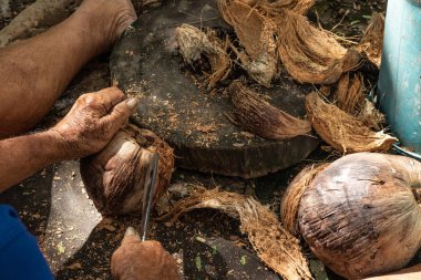 Yaşlı adam hindistan cevizi kabuğunu bıçakla soydu..