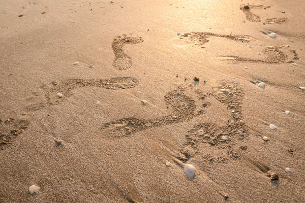 Voetafdrukken Het Strand Voetstappen Bij Zonsondergang Met Goudkleurig Zand Herinneringen — Stockfoto