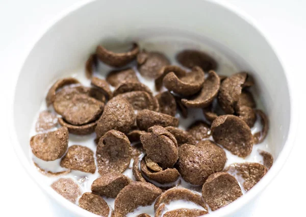 Chocolate Cereals Fresh Milk White Bowl Background Delicious Cocoa Cornflake — Stock Photo, Image