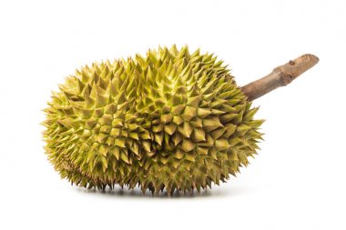Durian beyaz arka planda izole edilmiş. Tayland'da meyve Kralı.