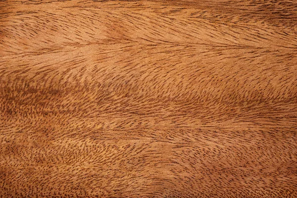 Dunkles Holz Textur Hintergrund Detail Des Natürlichen Holzmusters — Stockfoto