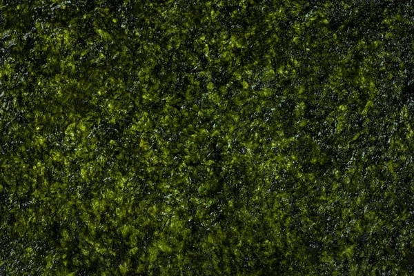 Latar Belakang Tekstur Rumput Laut Dengan Camilan Goreng Appetizer Terbuat — Stok Foto