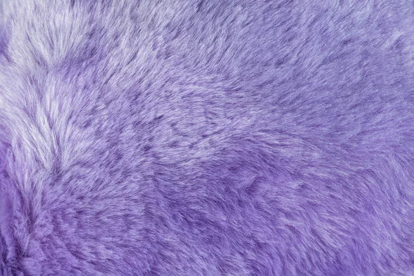 紫色のシャギーファーの背景のテクスチャ 柔らかい毛深い肌素材のディテール — ストック写真