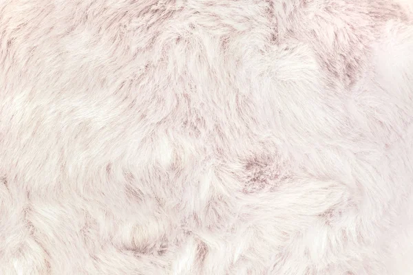 Texture Shaggy Fur Background Detail Soft Hairy Skin Material — Stock Photo, Image