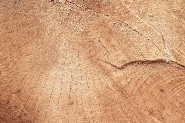 Desen arka plan ile ahşap kütükler doku. İç tasarım veya inşaat için ahşap yapının kesme detay. Retro masa veya masa mobilyaları dokulu.