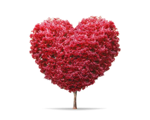 純白の背景に幸せを隔離したハート型の赤い花の木 装飾ロマンチックなコンセプトのためのバレンタインツリー ロイヤリティフリーのストック写真