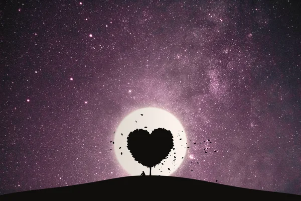 커다란 나무의 사랑의 사람은 환상의 보름달이다 외로운 — 스톡 사진