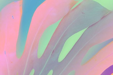 Soyut tropikal arka plan. Modaneneon renkler. Tonda. Vintage