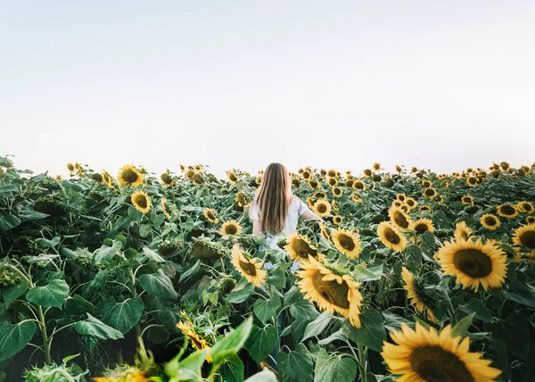 Jovem mulher bonita se divertindo em um campo de girassol — Fotografia de Stock