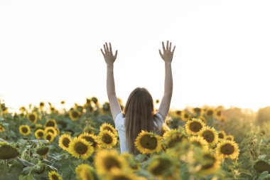Genç ve güzel bir kadın Ayçiçeği tarlasında eğleniyor