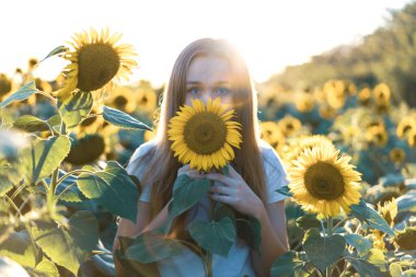 Genç ve güzel bir kadın Ayçiçeği tarlasında eğleniyor