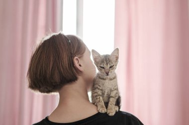 Yeşil gözlü şirin küçük gri kedi yavrusu hanımefendinin omzunda oturuyor.